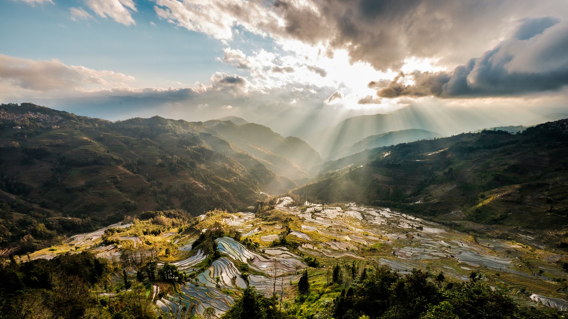 Sunset over Rice Field at Yuanyang